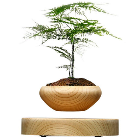 PerfectDeco™ Bonsai Floating Pot